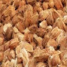 Coconut Husk