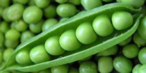 Frozen Green Peas