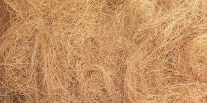 Coconut Coir Fiber