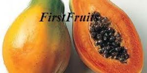 Papaya