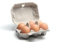 Egg Carton