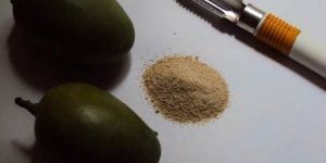Dehydrate Amchoor Powder