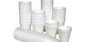 Plain Disposable Paper Cups
