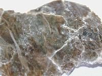 Mica Mineral