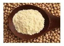 Organic Soybean Seeds