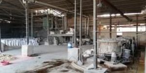 Poultry Feed Raw Material