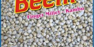 Finger Millet Seeds