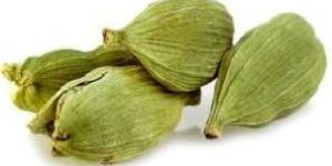 Cardamom