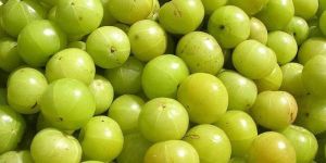 Fresh Amla