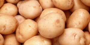 Fresh Potato
