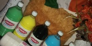 Floor Cleaning Phenyl