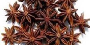 Star Anise Seeds
