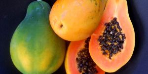 Fresh Papaya