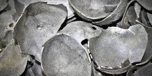 Coconut Shell Charcoal