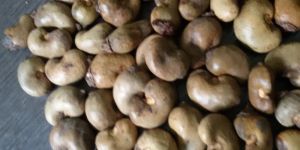 Raw Cashew Nuts