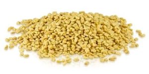 Fenugreek