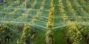 Bird Protection Netting