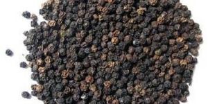 Black Pepper Seeds