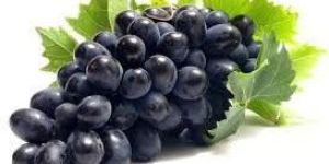 Fresh Black Grapes