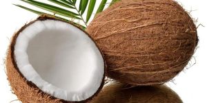 Coconut