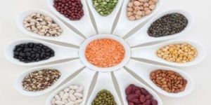 Indian Pulses