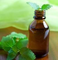 Mint Oil