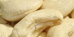 Cashew Nuts