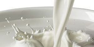 Milk Protein Concentrate