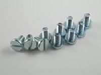 Slotted Cheese Head Screw