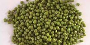 Green Whole Moong Beans