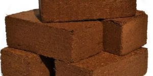 Coco Peat Briquettes