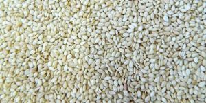 Hulled Sesame Seeds