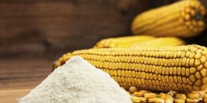 Maize Starch Powder