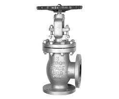 Angle Globe Valve