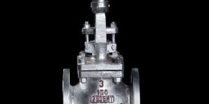 Globe Valve