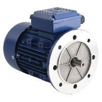 Flange Mounting Motor