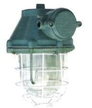 Flameproof Light Fitting