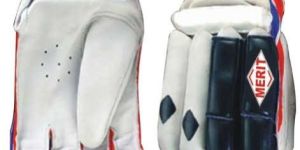 Batting Gloves Item Code : MS BG 02