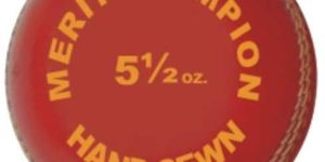 Cricket Ball Item Code : Ms Lb 01