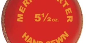 Cricket Ball Item Code : Ms Lb 02