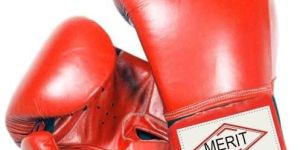 Mens Boxing Gloves (MS BG 05)