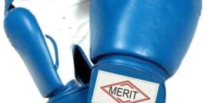 Mens Boxing Gloves (MS BGL 01)