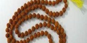 Rudraksha Beads Mala
