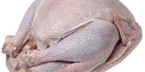 Frozen Turkey Meat