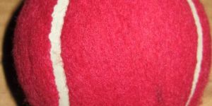 Cricket Tennis Balls