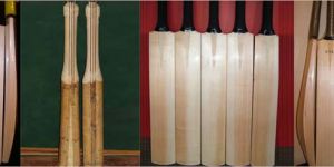 Kashmir Willow Cricket Bats