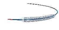 Coronary Stent