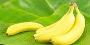 Fresh Banana