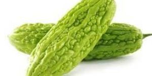 Fresh Bitter Gourds