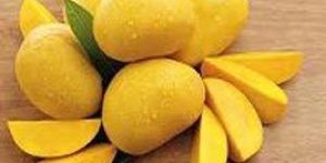 Fresh Mango